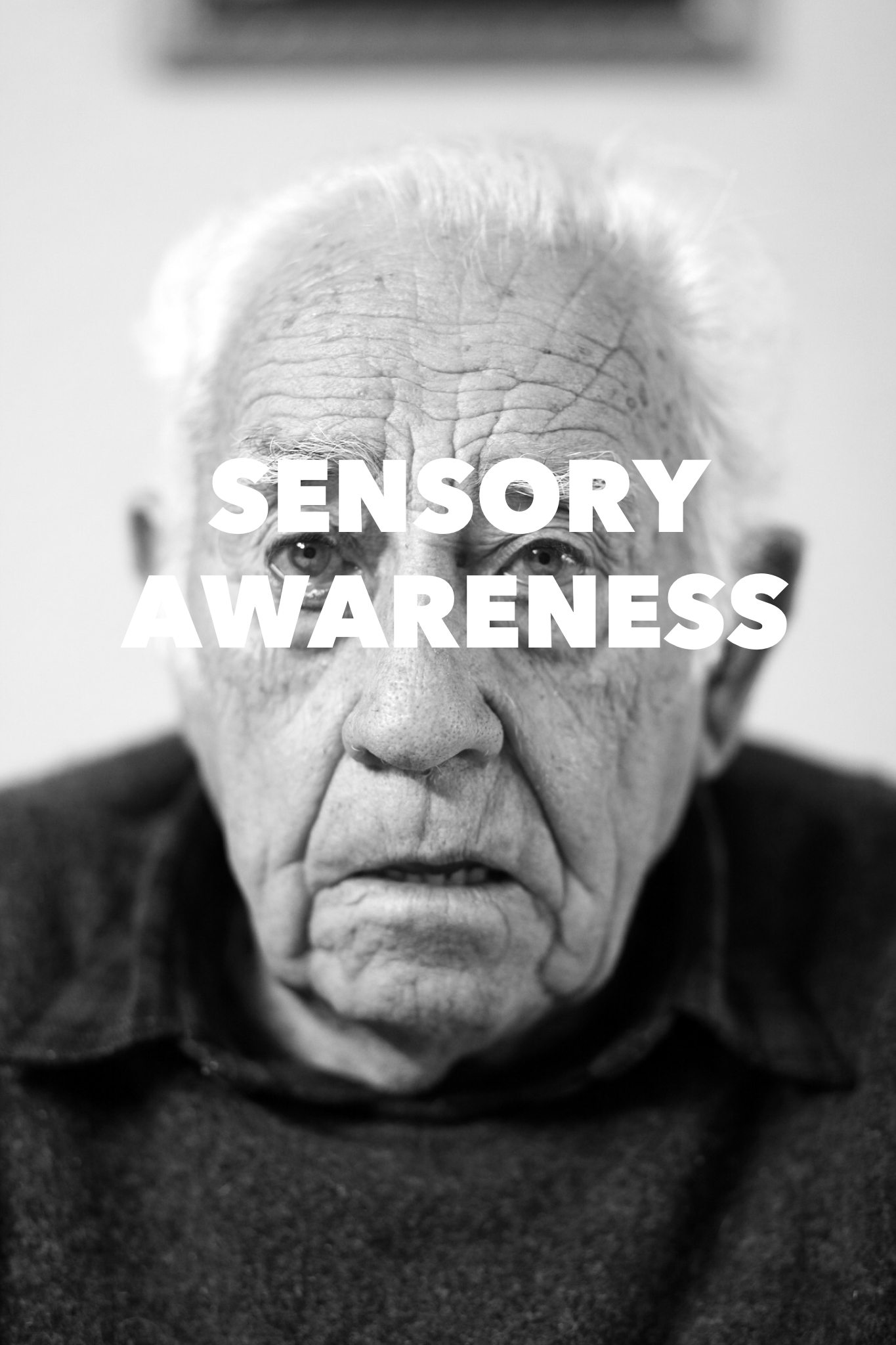 Sensory Awareness 