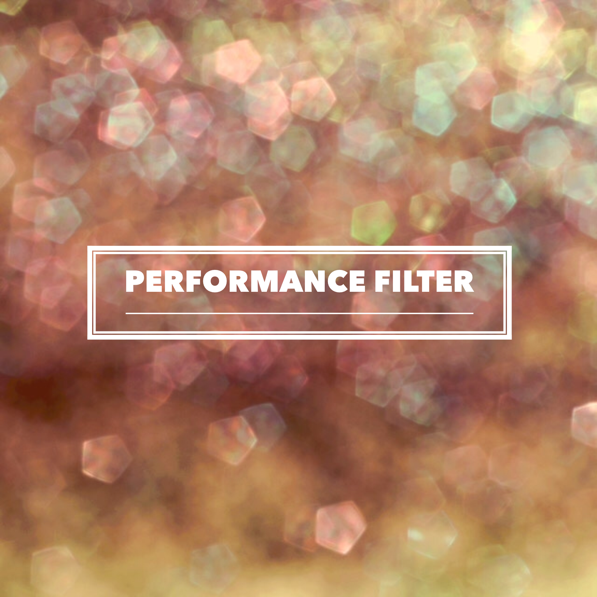 PERFORMANCE FILTER