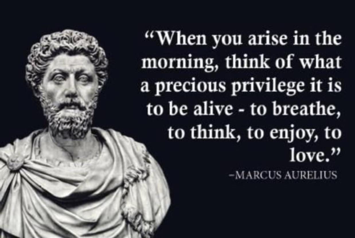 “When you arise in the morning, think of what a precious privilege it is to be alive – to breathe, to think, to enjoy, to love.” – Marucus Aurelius